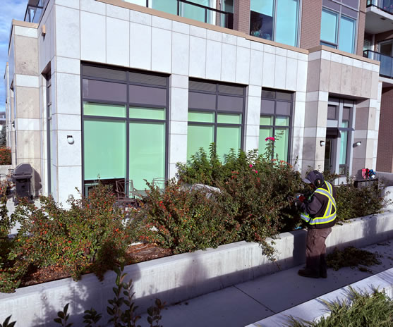 Parkside Ground Maintenance process